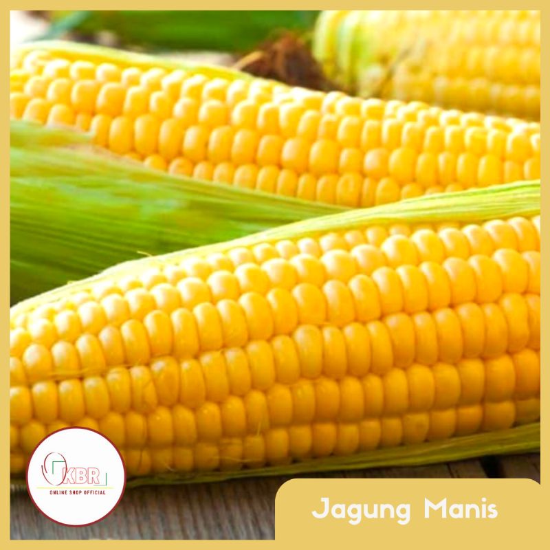 Jagung manis 1kg / Jagung Manis / Jagung