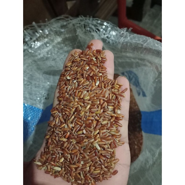 

beras Merah Komsumsi