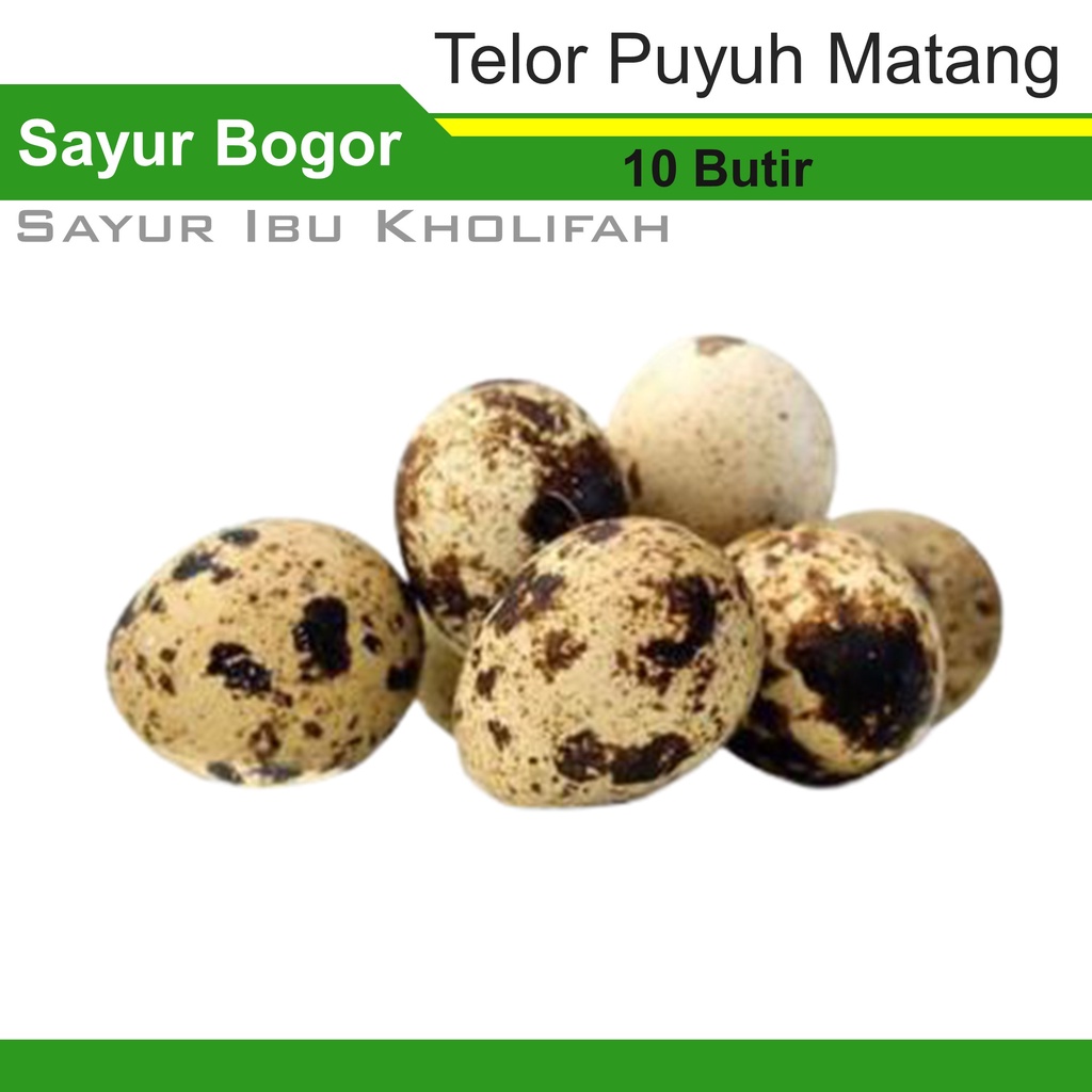 

Telur Puyuh Matang 10 Butir Lauk Pauk Sayuran Segar Bogor