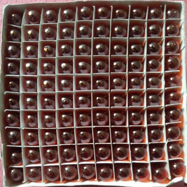 Bohlam lampu sein kiri kanan warna kuning-T13-12v/10w aldo55 Juara