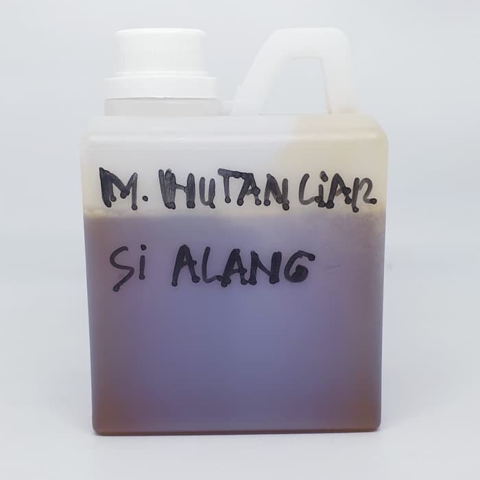 

MADU HUTAN SIALANG ASLI KEMASAN SETENGAH KILOGRAM