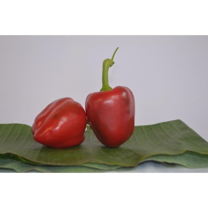 

Paprika Merah ORGANIK 1Kg