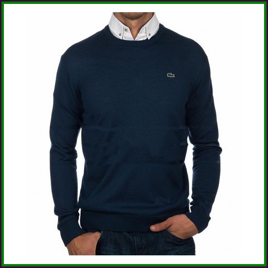 Rajut Cowok Premium 300921-7 Sweater Rajut Pria Lacoste Knite Sweater Rajut