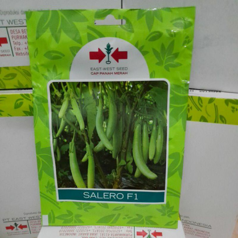 Benih Terong Hijau Salero F1 Small Pouch isi 400 butir