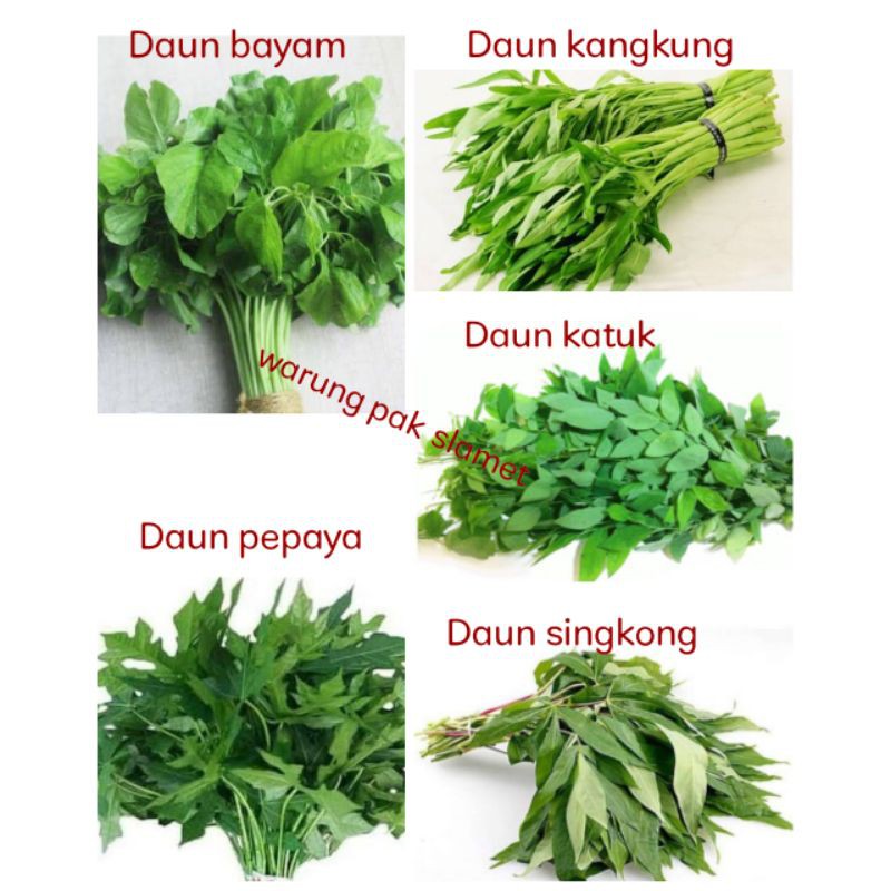 

Daun bayam / Daun Kangkung / Daun Singkong / Daun katuk / Daun pepaya sayuran segar