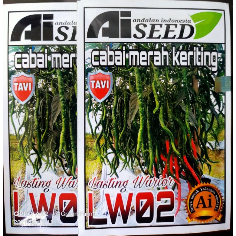 Cabe Merah Kriting Lw 02 Tahan Virus Kemasan 10gr Original Pabrik Ai Seed Buah Lebat