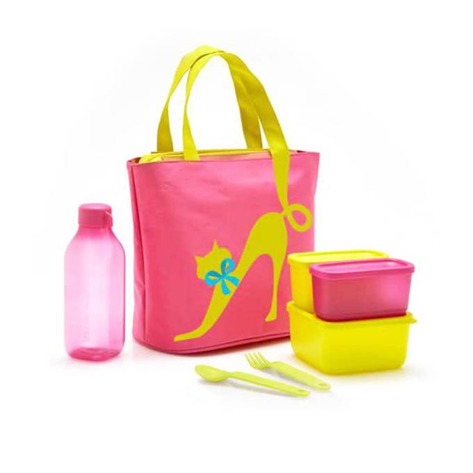 Cosmo lady Tupperware 1 set