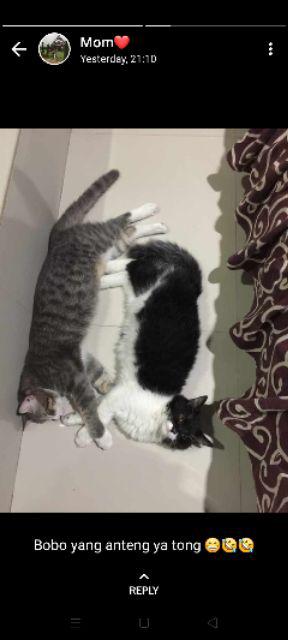 Photoproops Bridal Shower