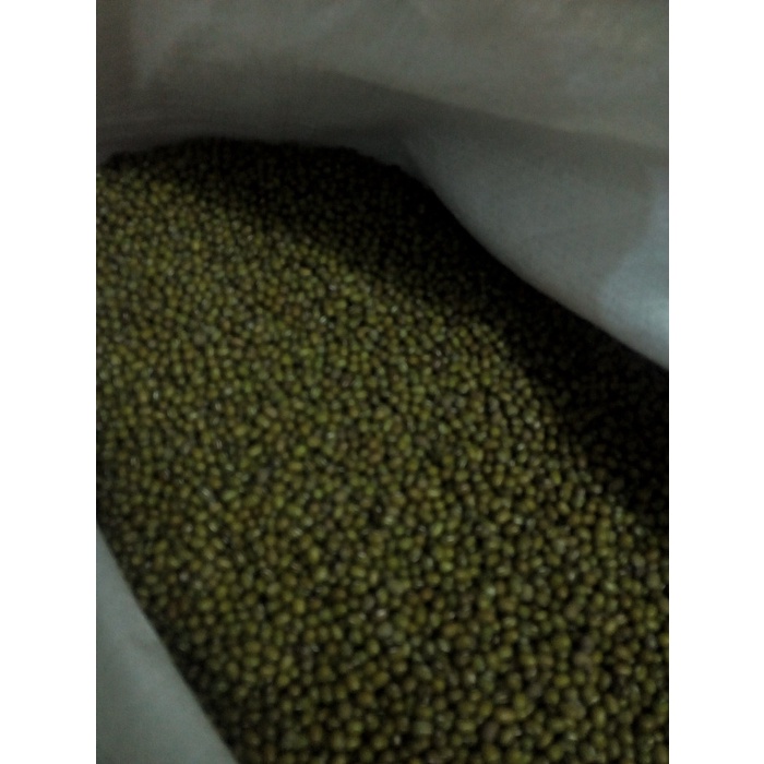 

Q12 Kacang Hijau Dw51qs