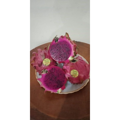

BUAH NAGA MERAH (1KG)