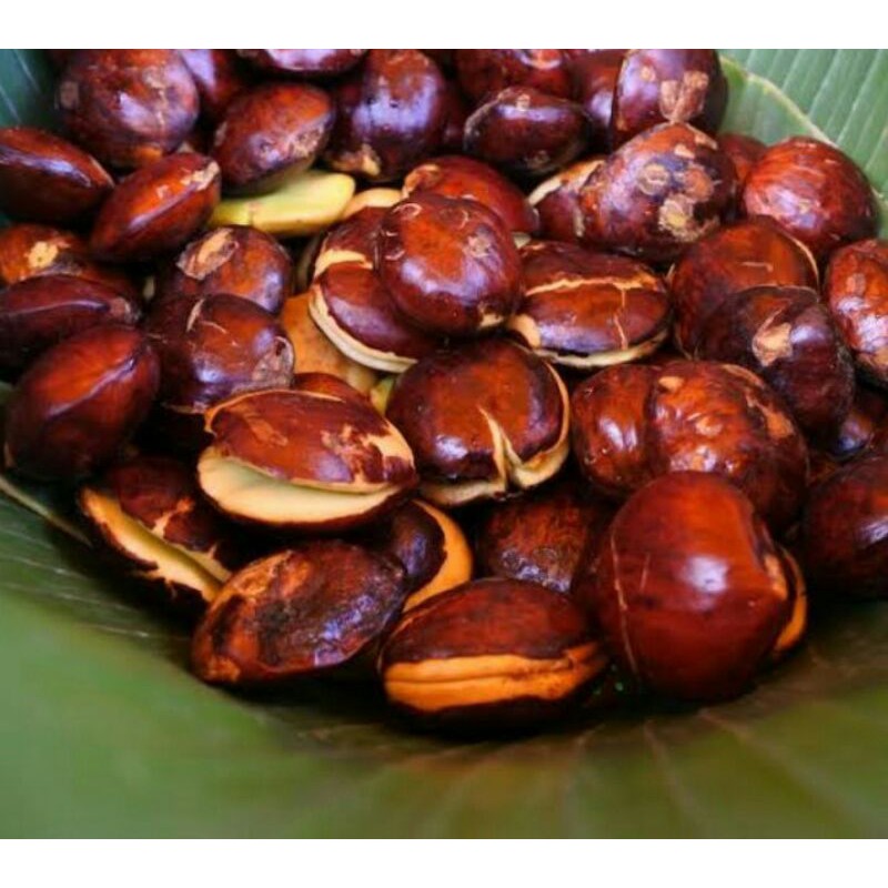 

JENGKOL FRESH KUALITAS SUPER - JENGKOL BESAR