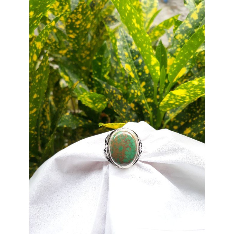 Natural Pirus Persia Hijau