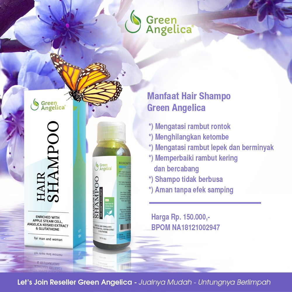 Shampoo Green Angelica Cara Merawat Rambut Agar Tidak Rontok
