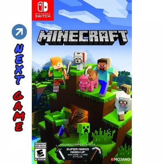 Switch Minecraft