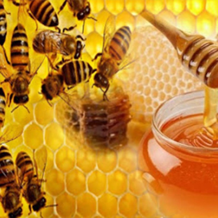 

Ge02G Bundle 2Pcs - Madu Al Shifa 125Gr Murni Impor Arab / Natural Honey Ds5G