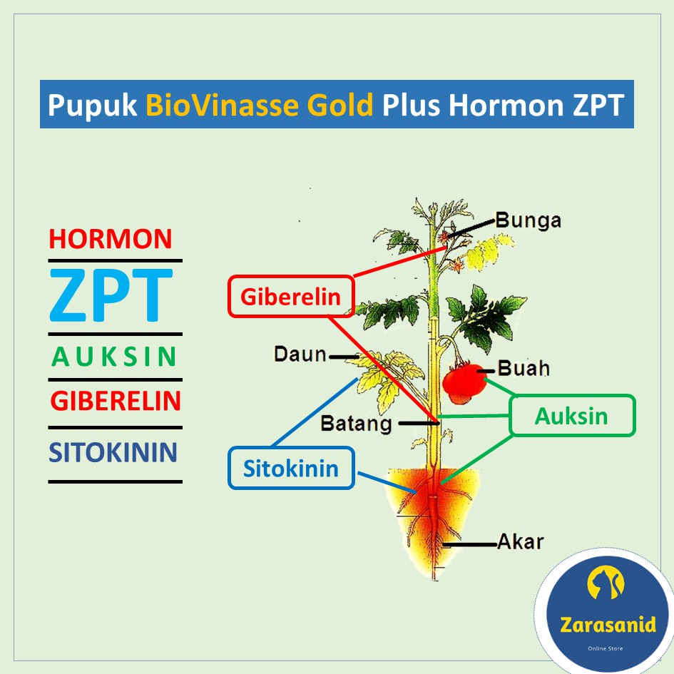 Pupuk Cair Probiotik Untuk Tanaman Hias Praktis Tinggal Semprot Tanaman Subur Daun Cerah Mengkilap