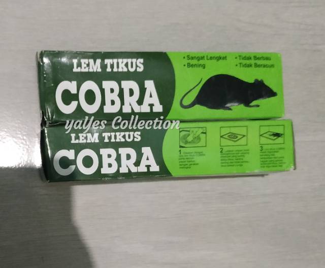 Cobra lem tikus lengket bening tidak berbau no racun perangkap kobra ori original