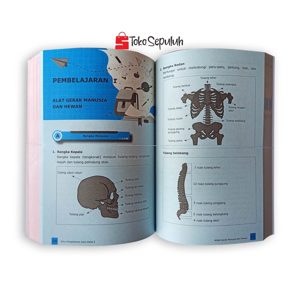 BUKU RUMUS SD - BUKU PELAJARAN SD - SUPER COMPLETE RUMUS MATEMATIKA & IPA SD MI KLS 4 5 6-3