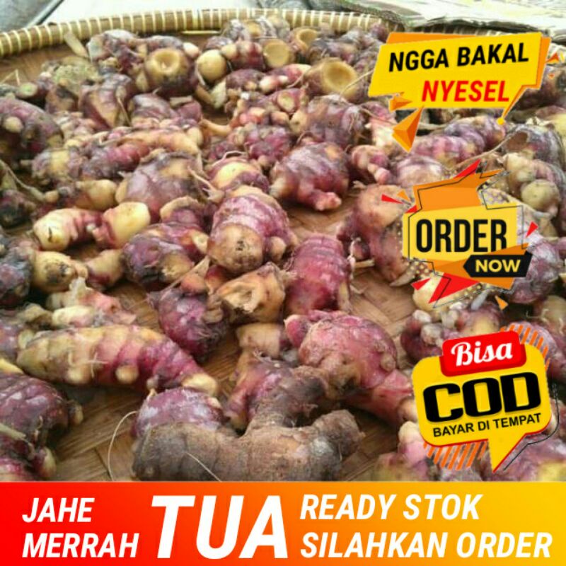 

JAHE MERAH SEGAR RED GINGGER HERBAL