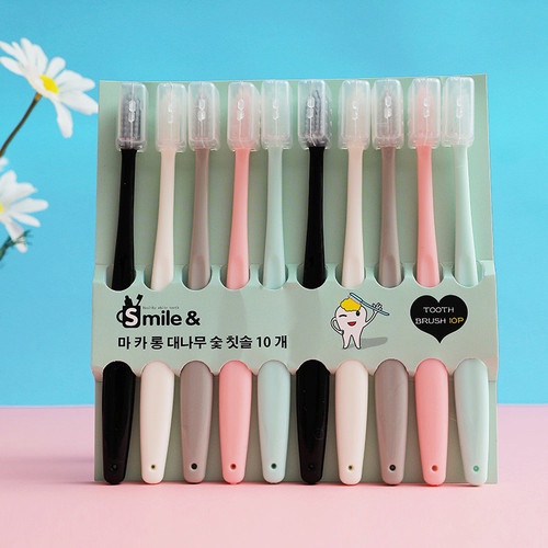 Sikat Gigi Dewasa Pastel Color Toothbrush 10pcs