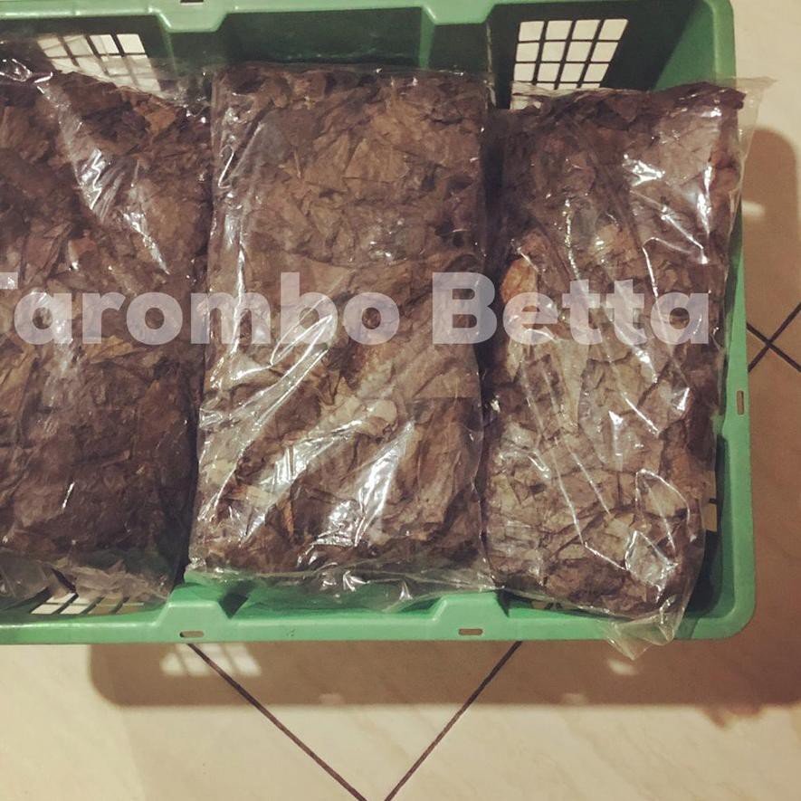 

PROMO BESAR (ipl-491) Barang Ekspor Daun Ketapang Laut Fermentasi Olahan Isi Bersih 100 Gram 100gram