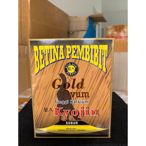Betina Pembibit gold ovum kyojin pakan ayam