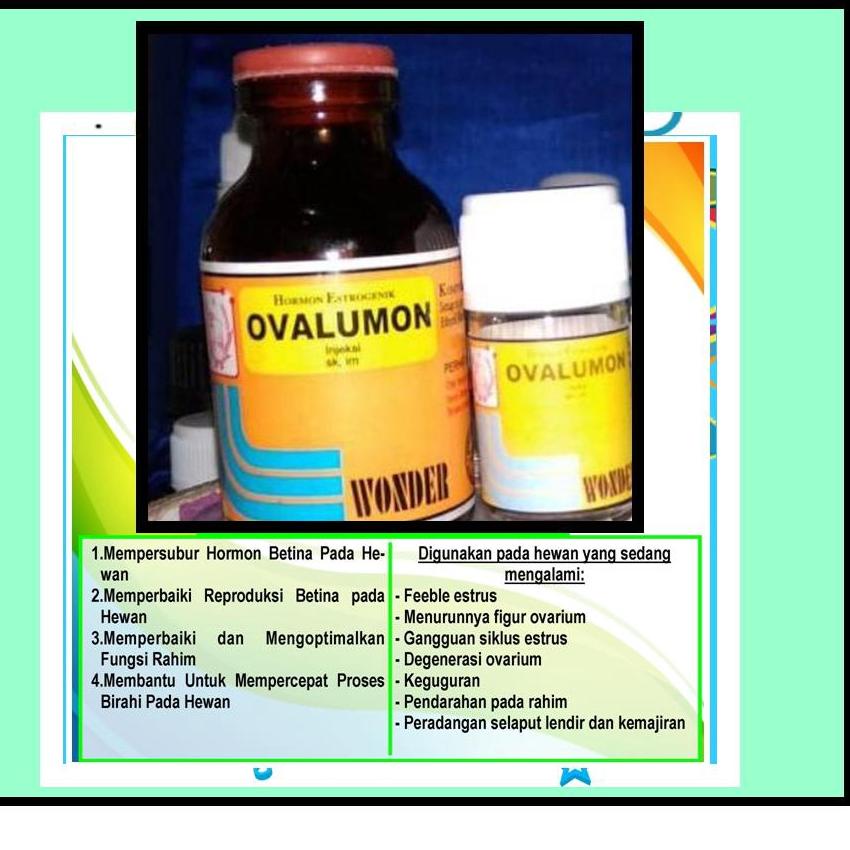 Langsung Beliii.. OVALUMON 20ML OVALUMON 5ML OVALUMON OBAT BIRAHI OVALUMON KUCING UNTUK BABI SUNTIKA
