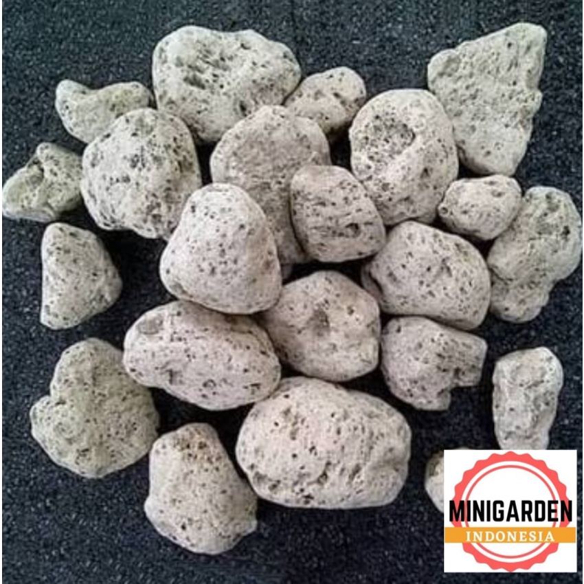 BATU APUNG ECER 500 GRAM media filter aquarium kolam aquascape media tanam pumice stone bonsai