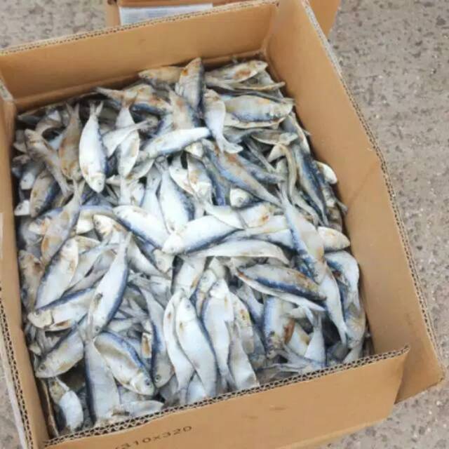 

IKAN ASIN TEMBANG