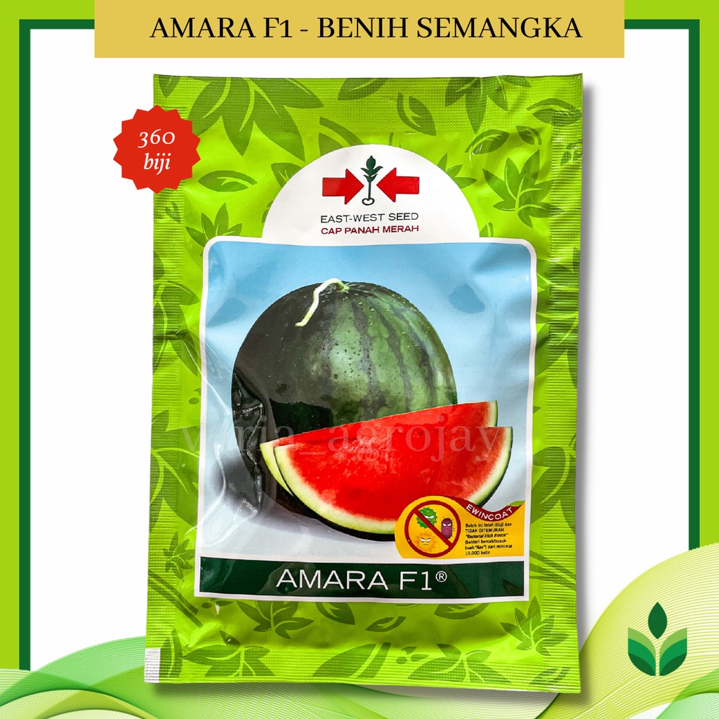 BENIH BIBIT SEMANGKA AMARA F1 - CAP PANAH MERAH