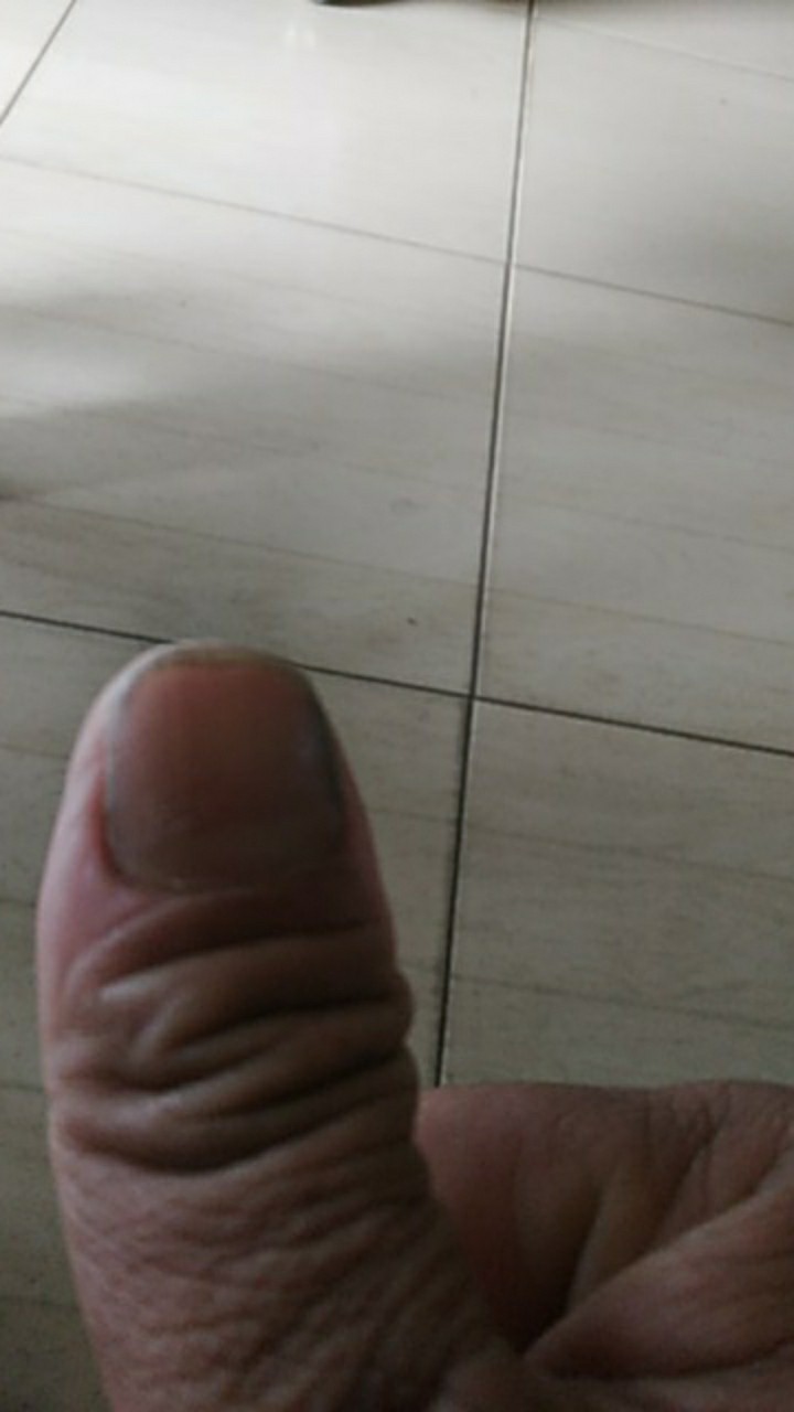 Homu Gyuto Pisau Jepang Chef Knife High Carbon Stainless Damascus Pattern Wood Handle