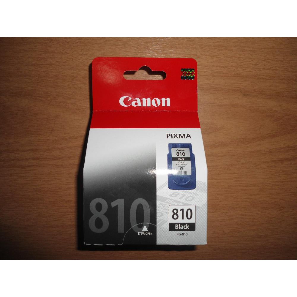 TINTA CANON  Ink Cartridge PG 810 ORIGINAL