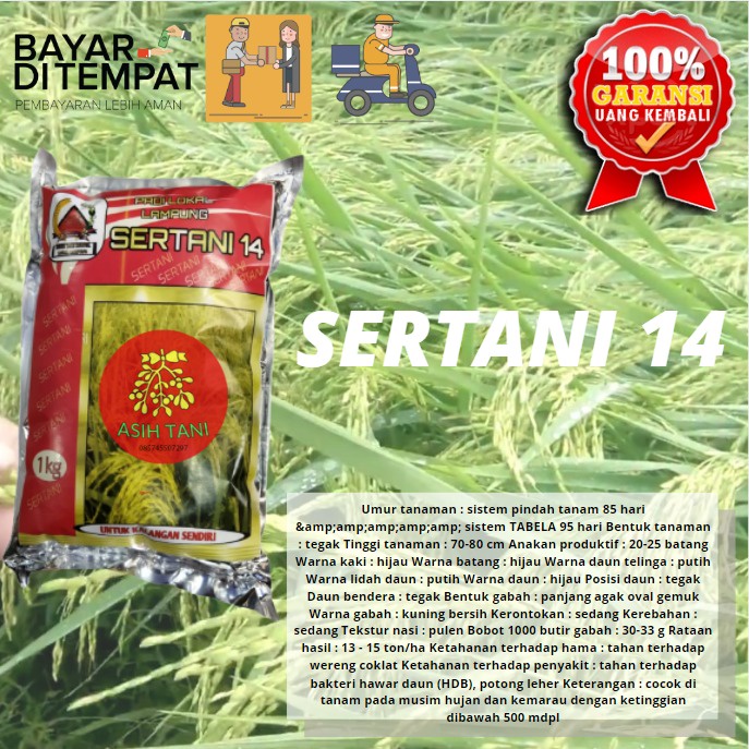 Benih padi sertani 14 kemasan 1 kg