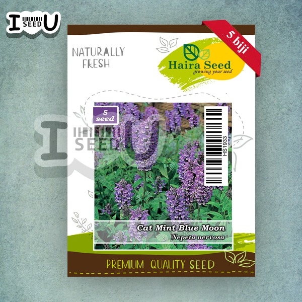 Haira Seed Bibit-BIji Catmint Blue Moon