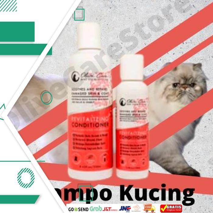 Harga Olive Care Shampoo Kucing Terbaru November 2021  BigGo 