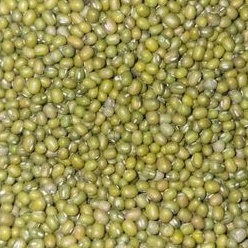 

Kacang Hijau Ijo 25 KG Super Premium Murah Green Beans - Bambu Wangi