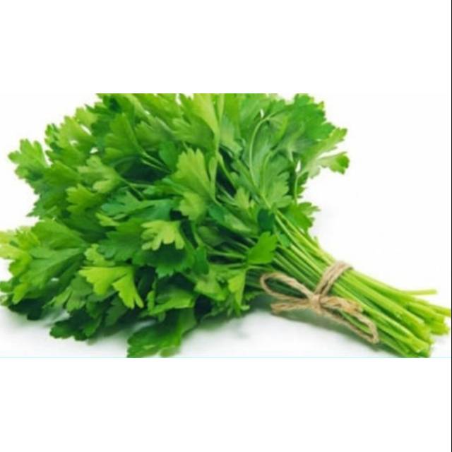 

Daun seledri 250gr