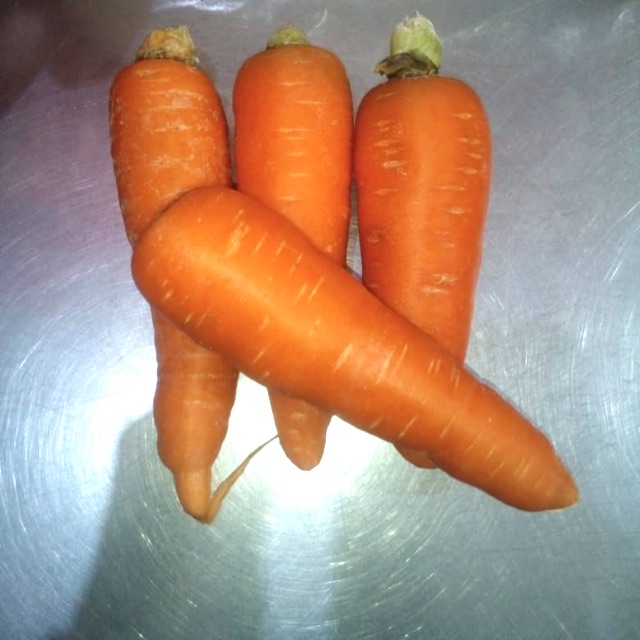 

Wortel brastagi / shinkuroda segar organik