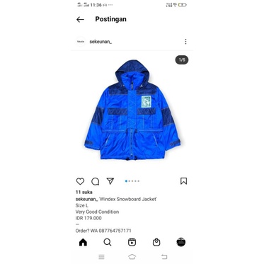 snowboard jaket windex