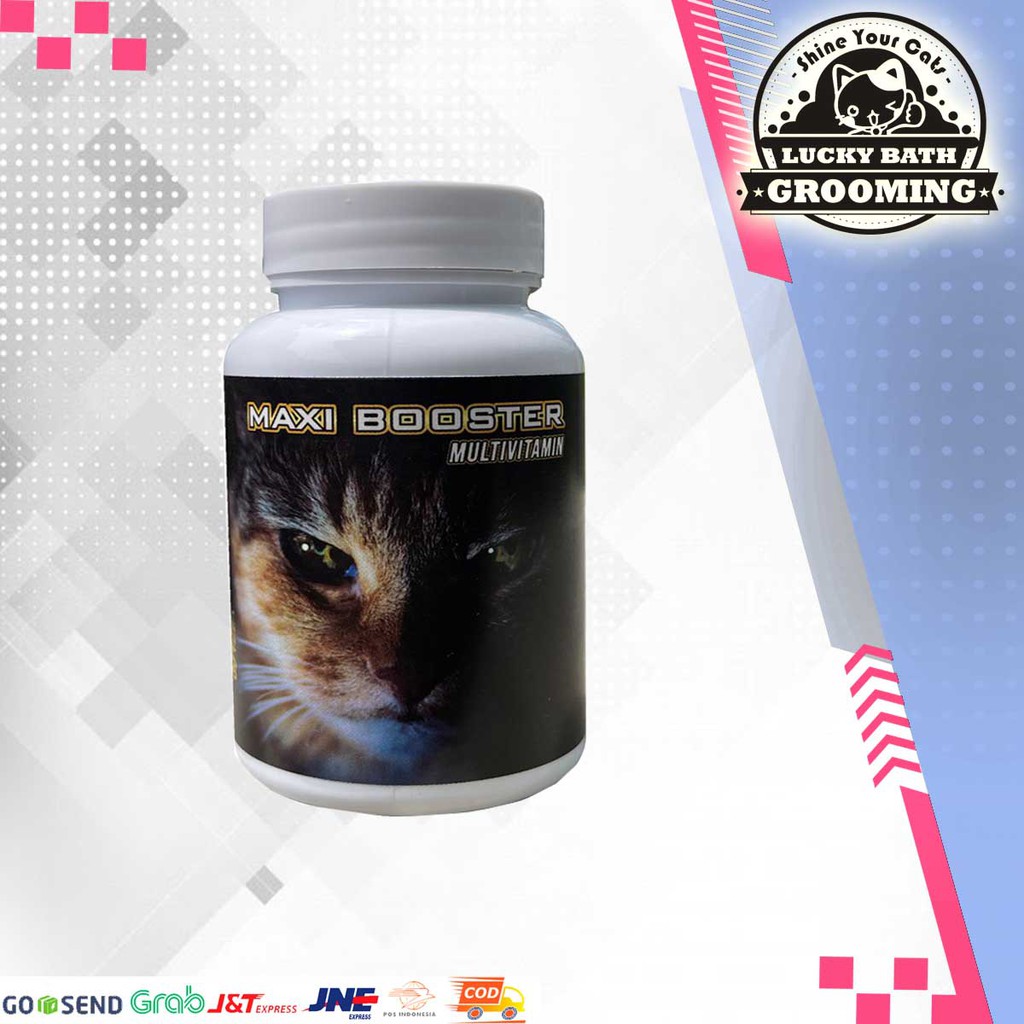 maxi booster multi vitamin kucing