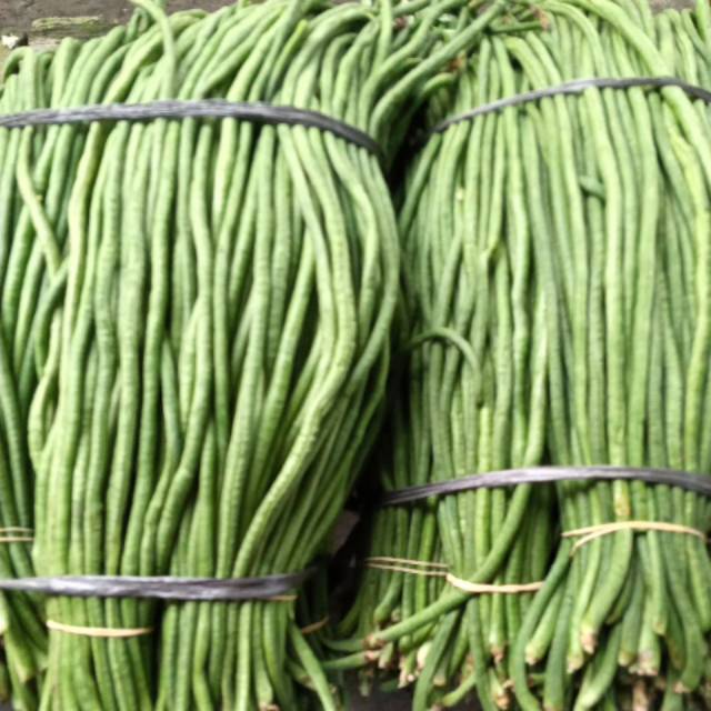 

Sayur_sayuran segar