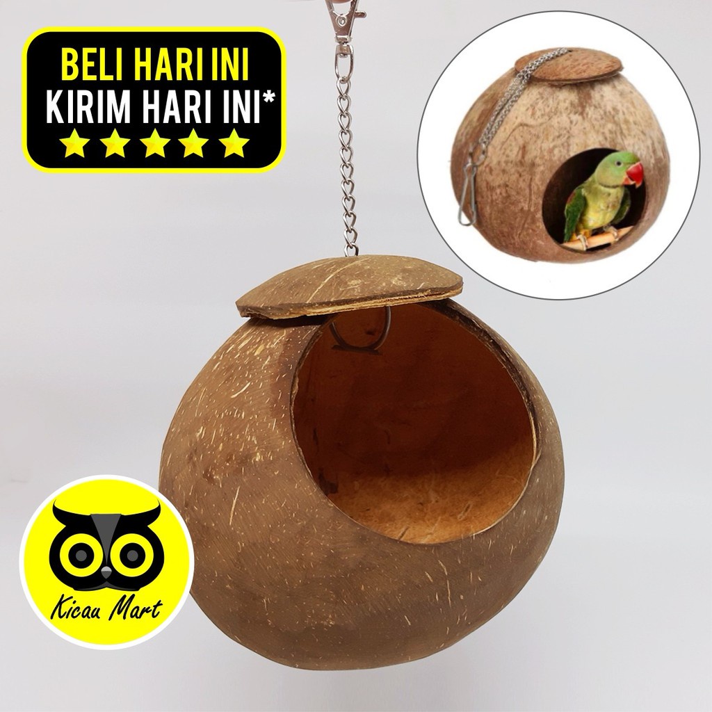 GLODOK BATOK TEMPURUNG KELAPA GLODOG SARANG RUMAH TEMPAT MAINAN TERNAK BURUNG LOVEBIRD PARKIT RUMAHJL