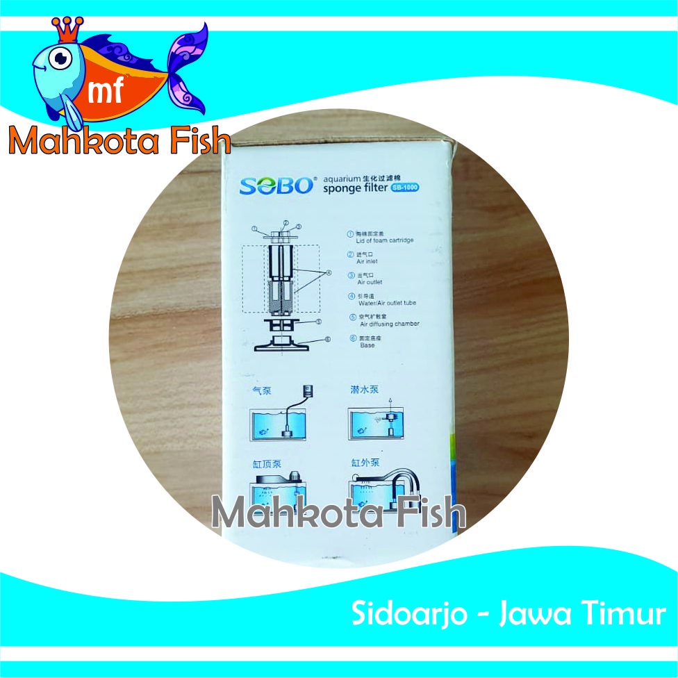 Sponge Filter | Filter Mini | Bio Filter | Bioafoam Filter | Filter Busa | Filter Aquarium (GRATIS BUBLE !!)