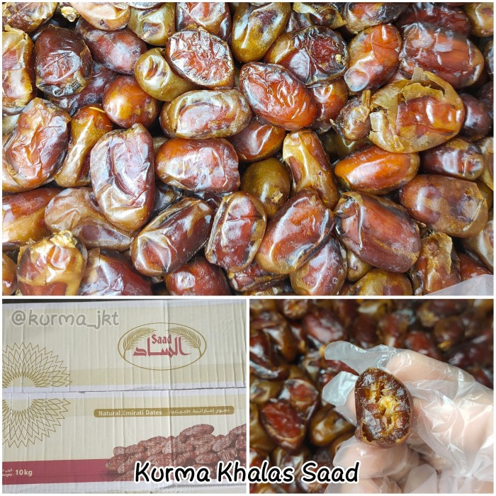 

Kurma Terbaru - Kurma Khalas / Korma Khalas Curah