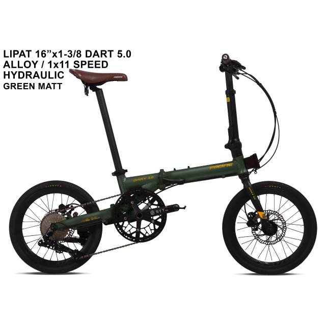 Pacific Type DART 5.0 
11 Speed