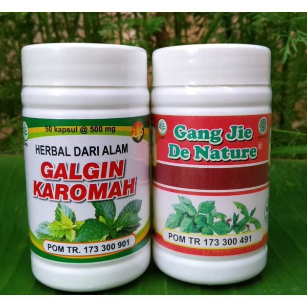 Jual Obat Batu Ginjal Herbal INFEKSI GINJAL BATU EMPEDU | KENCING BATU ...