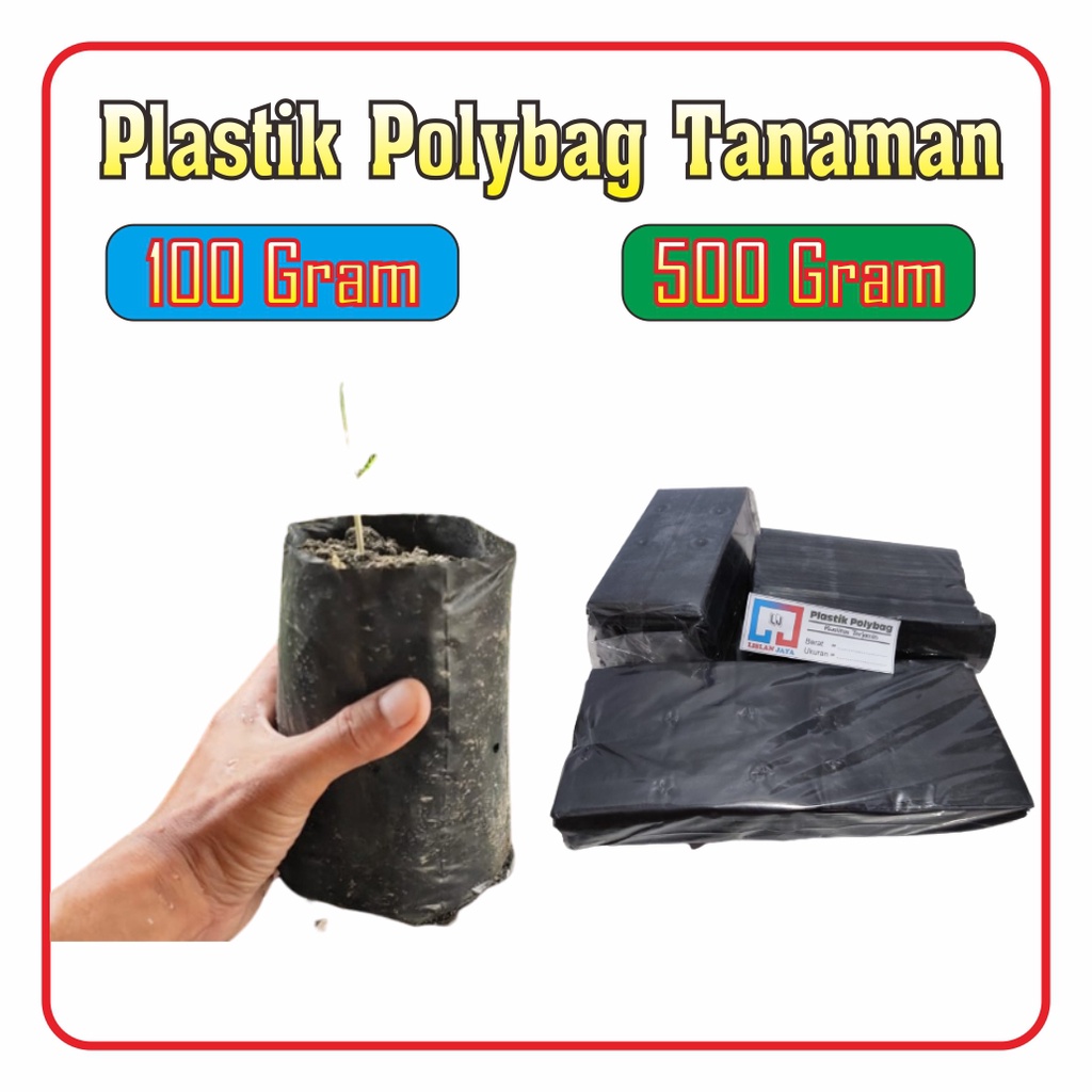 Buste Pacchi Vinted 25 Buste Postali In Polietilene Formato Medio 24x32 Cm - Antistrappo E Resistenti Alle Intemperie, Per Spedizioni Sicure Buste Postali A4 Resistenti - Foto 8