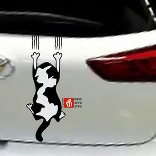 Stiker Mobil Cutting Tazmania Peeking 40cm Sticker Keren Murah