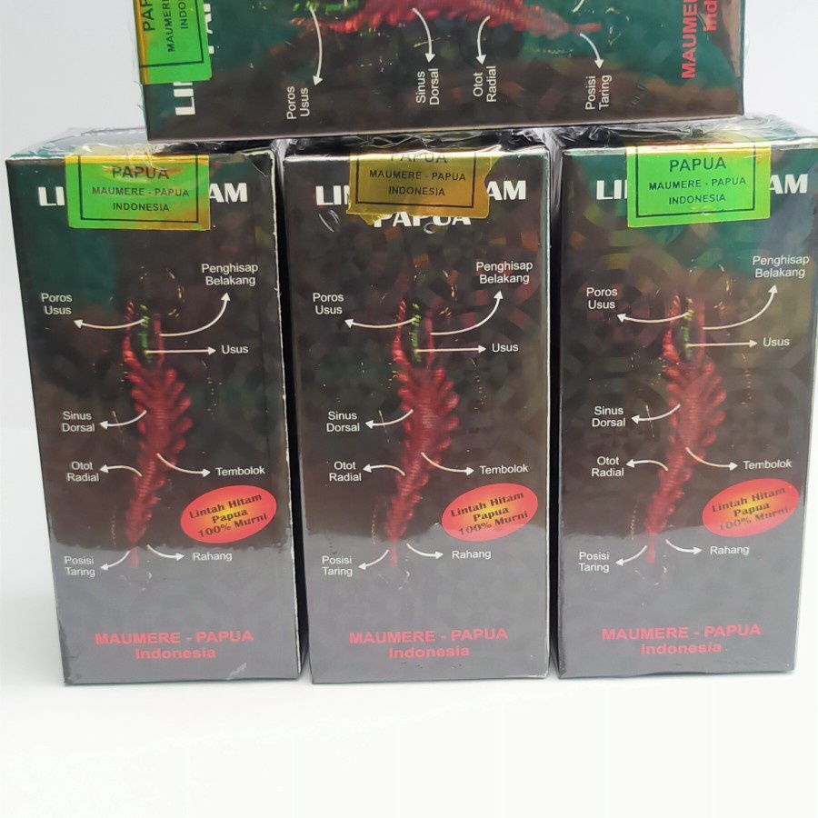 Minyak lintah hitam Papua asli Lintah papua Original Asli 100%