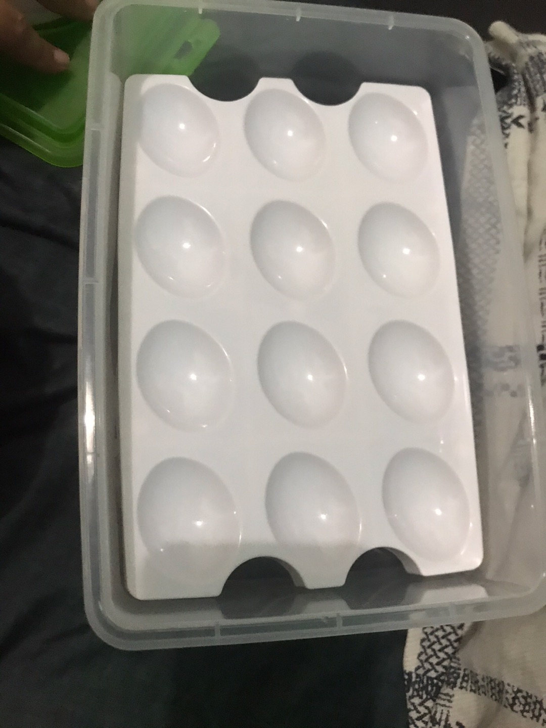 Box Telur Isi 24 Butir Tempat Penyimpan Telur Handle